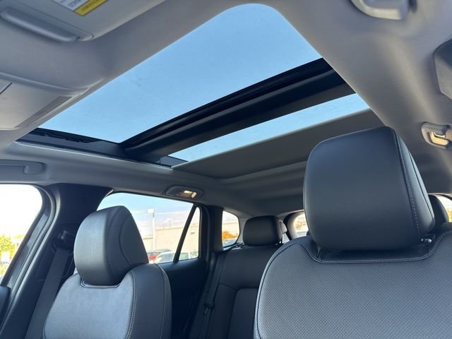 2025 Mazda CX-50 Premium Plus - Photo 15