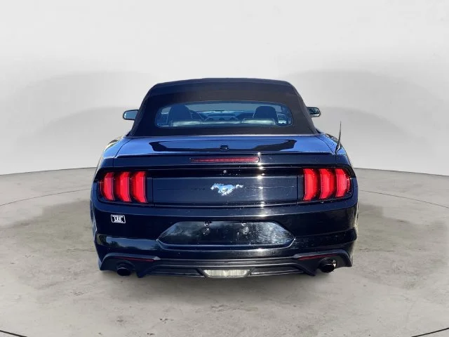 Used 2022 Shadow Black Ford Ecoboost Premium image 4