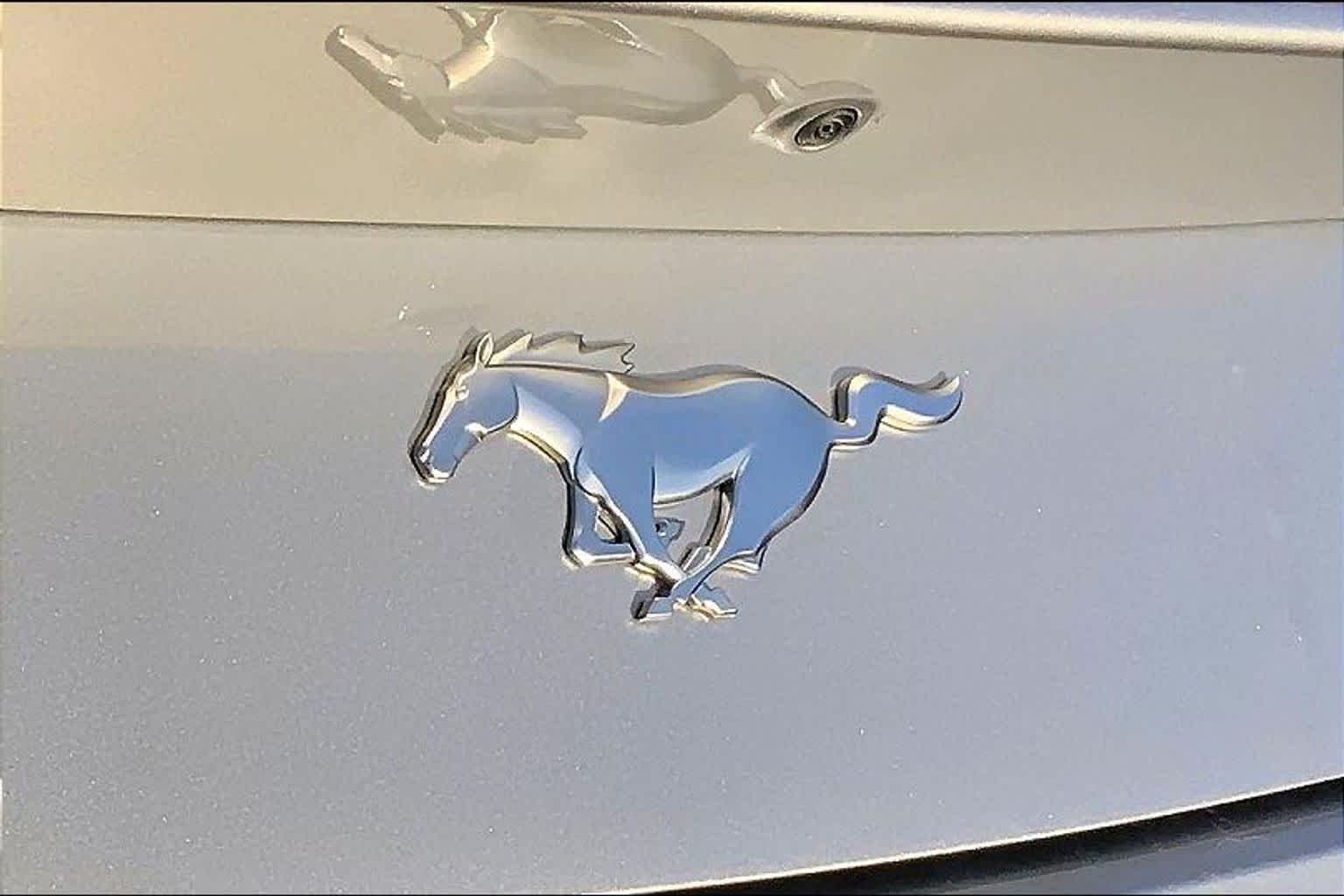 Used 2025 Iconic Silver Metallic Ford EcoBoost Premium image 29