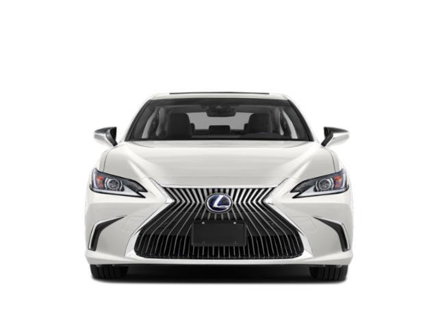 Used 2019 Caviar Lexus 300h Luxury image 4