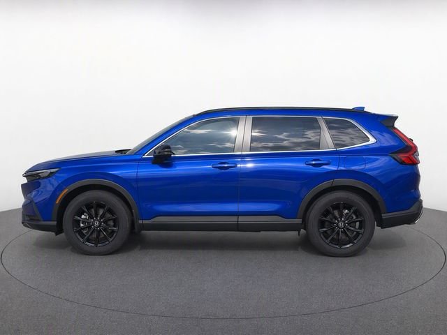 Used 2024 Blue Honda Sport image 6