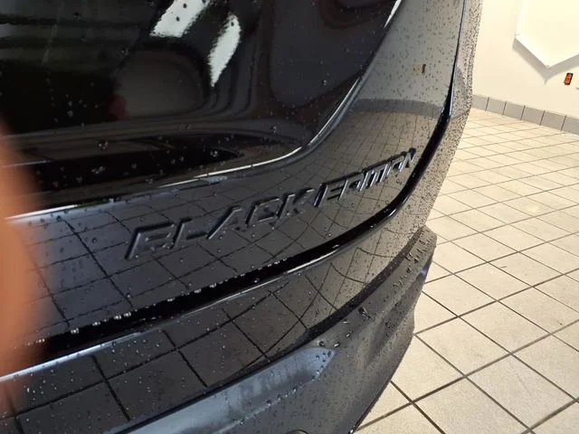 2026 Honda Pilot Black Edition - Photo 23