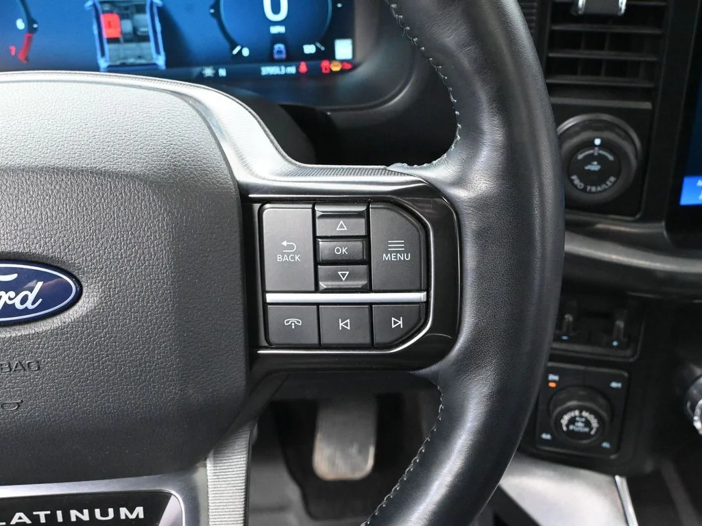 2024 Ford F-150 Platinum - Photo 32