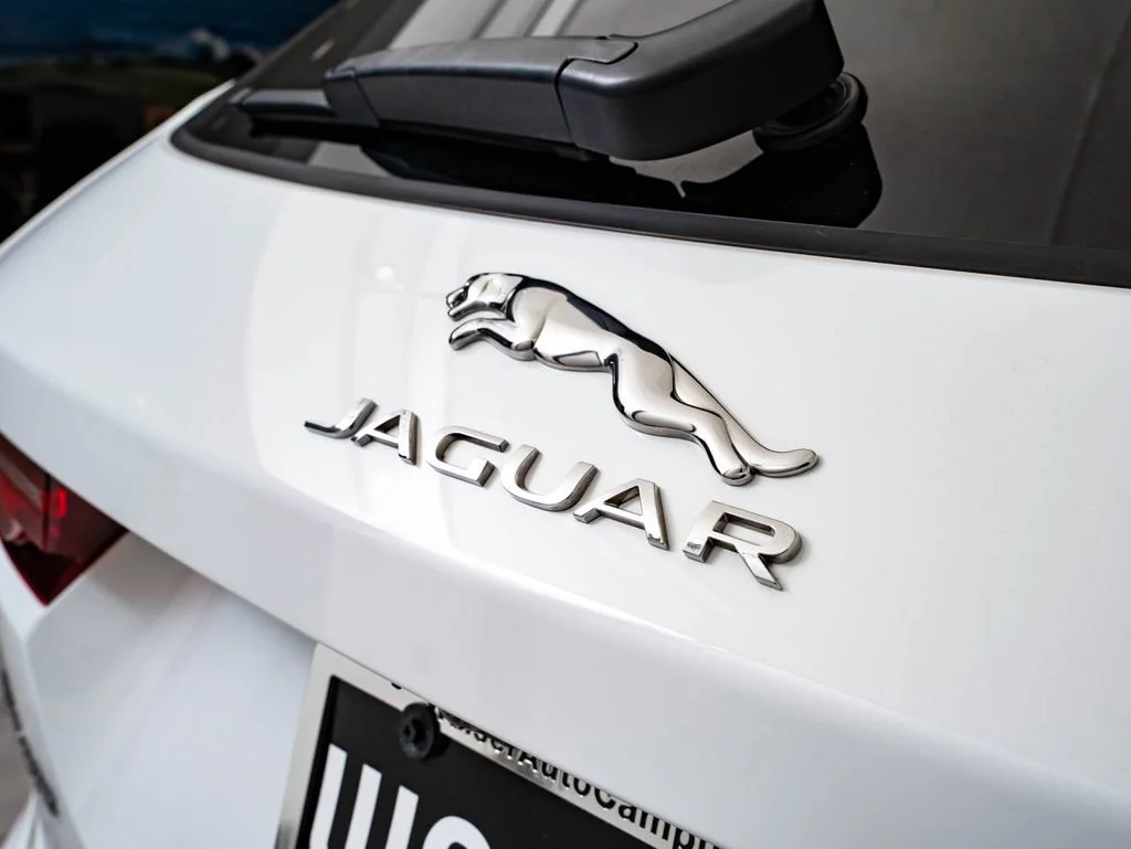 Used 2023 Fuji White Jaguar P250 S image 18