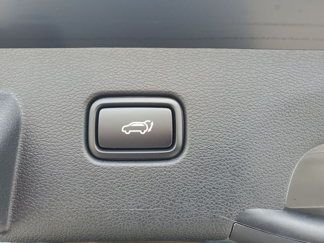 New 2026 Ebony Black Kia SX-Prestige image 16