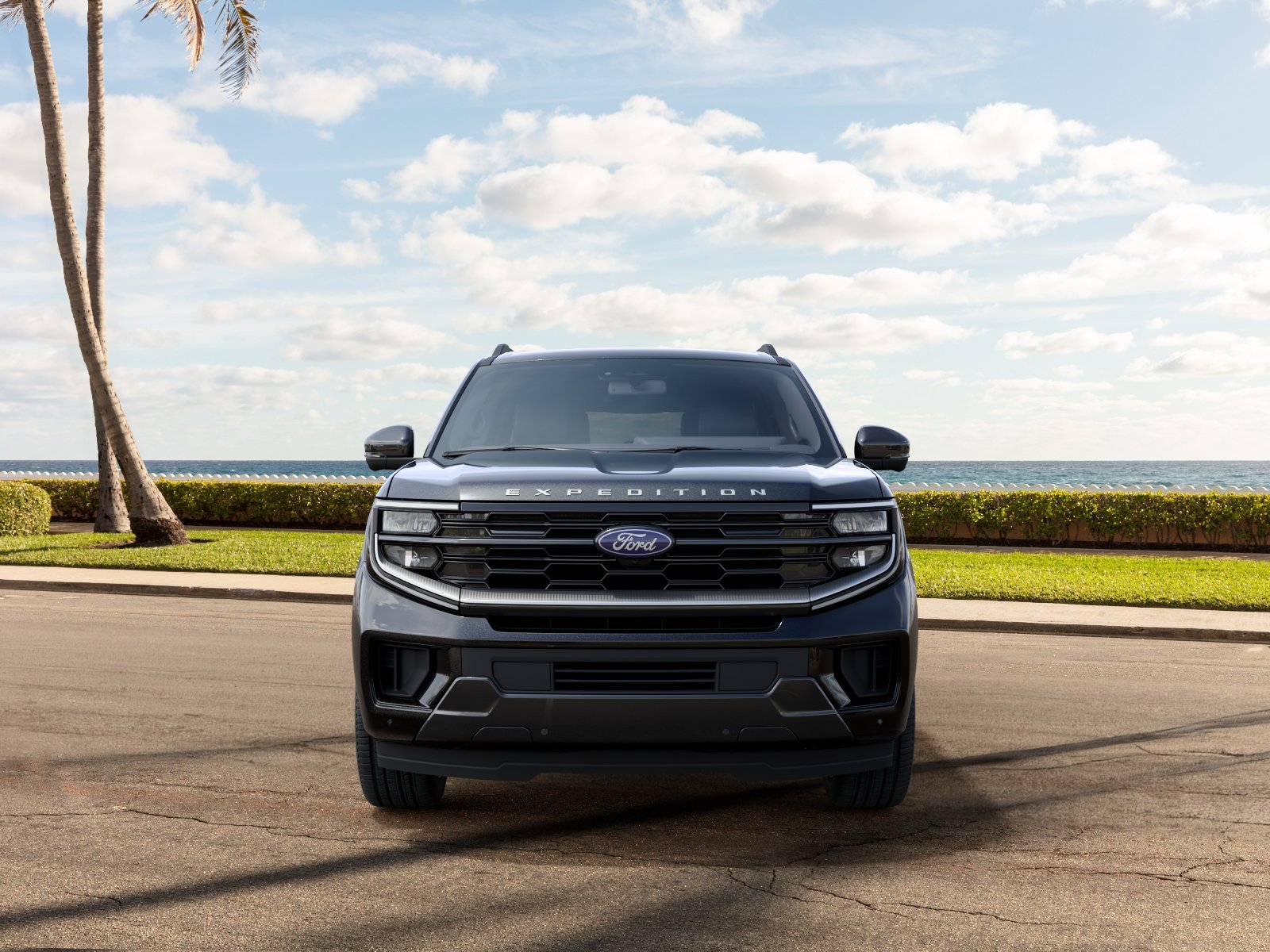 New 2027 Agate Black Metallic Ford Platinum image 3