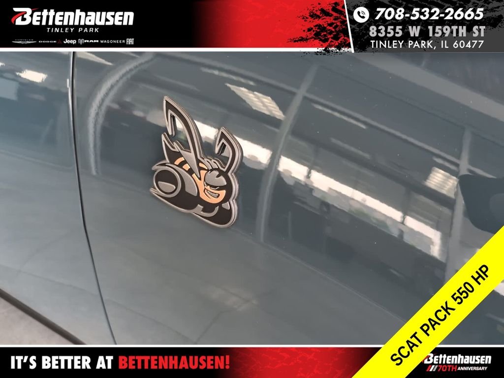 New 2026 Sub-Zero Exterior Paint Dodge R/T Scat Pack image 3