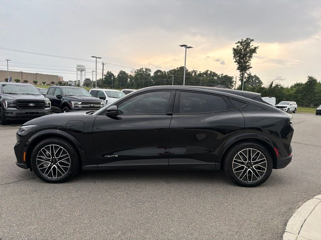 Used 2025 Shadow Black Ford Premium image 7