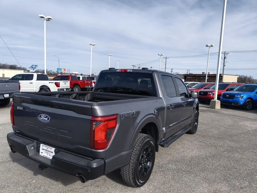 2025 Ford F-150 STX - Photo 6