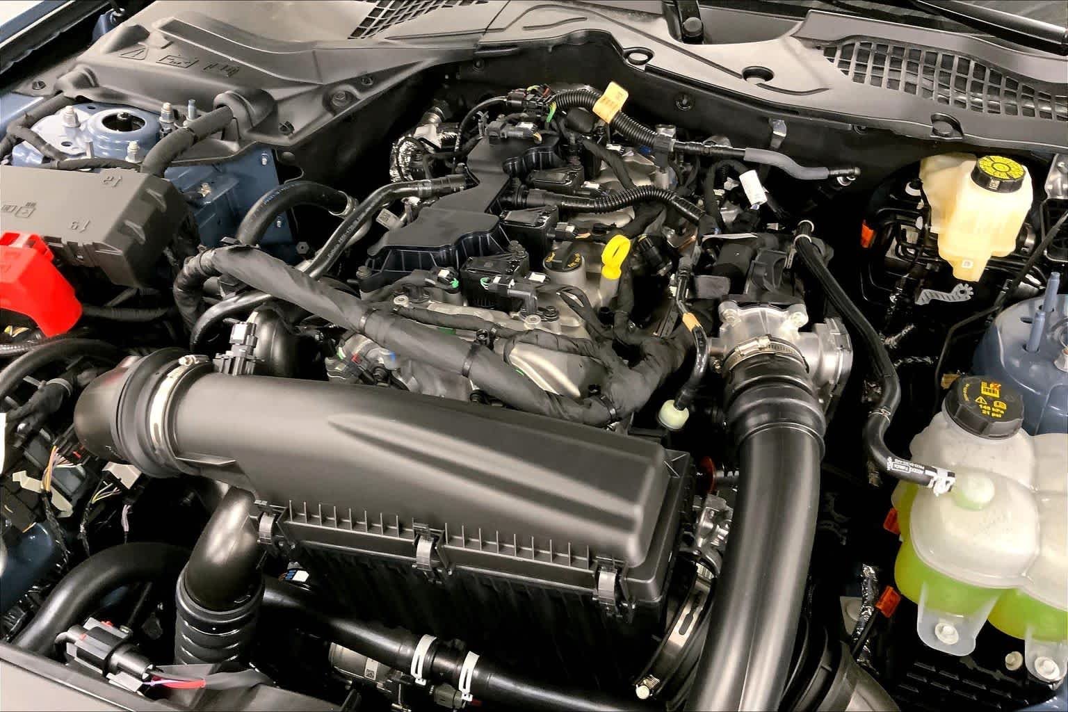 New 2026 Vapor Blue Metallic Ford EcoBoost® Fastback image 16