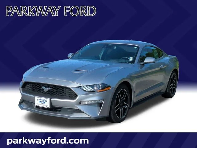Used 2022 Silver Ford EcoBoost image 1