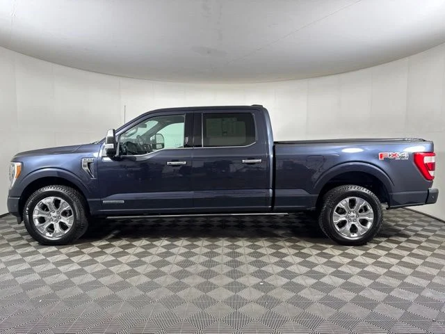 Used 2022 Quartz Metallic Ford Platinum image 7
