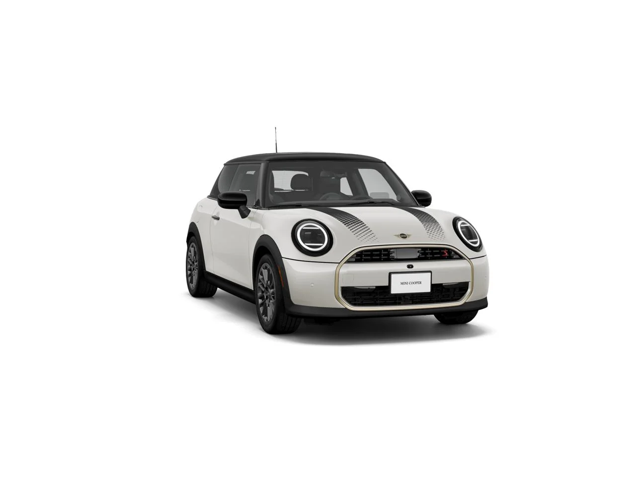 New 2027 Nanuq White Metallic MINI ICONIC image 1