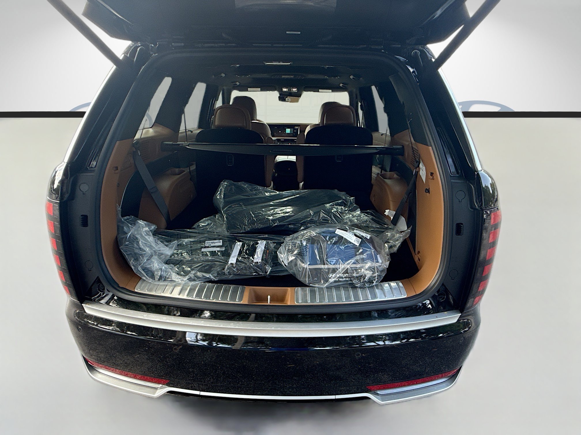 New 2026 Abyss Black Pearl Hyundai Calligraphy image 42