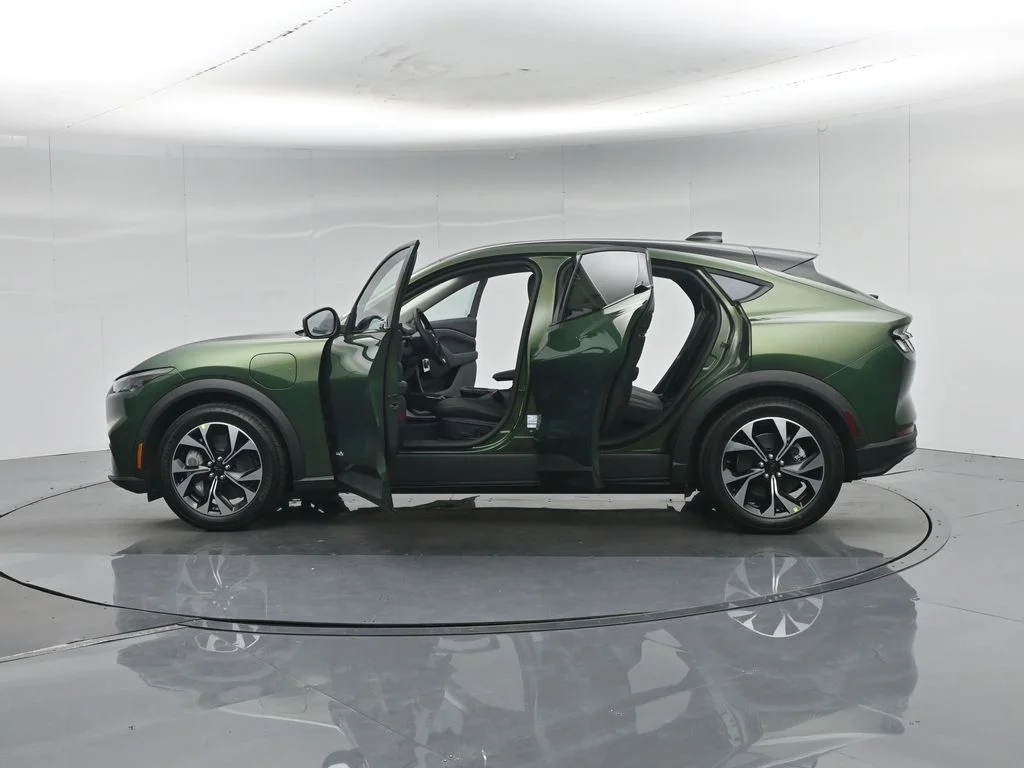 New 2026 Eruption Green Metallic Ford Select image 33