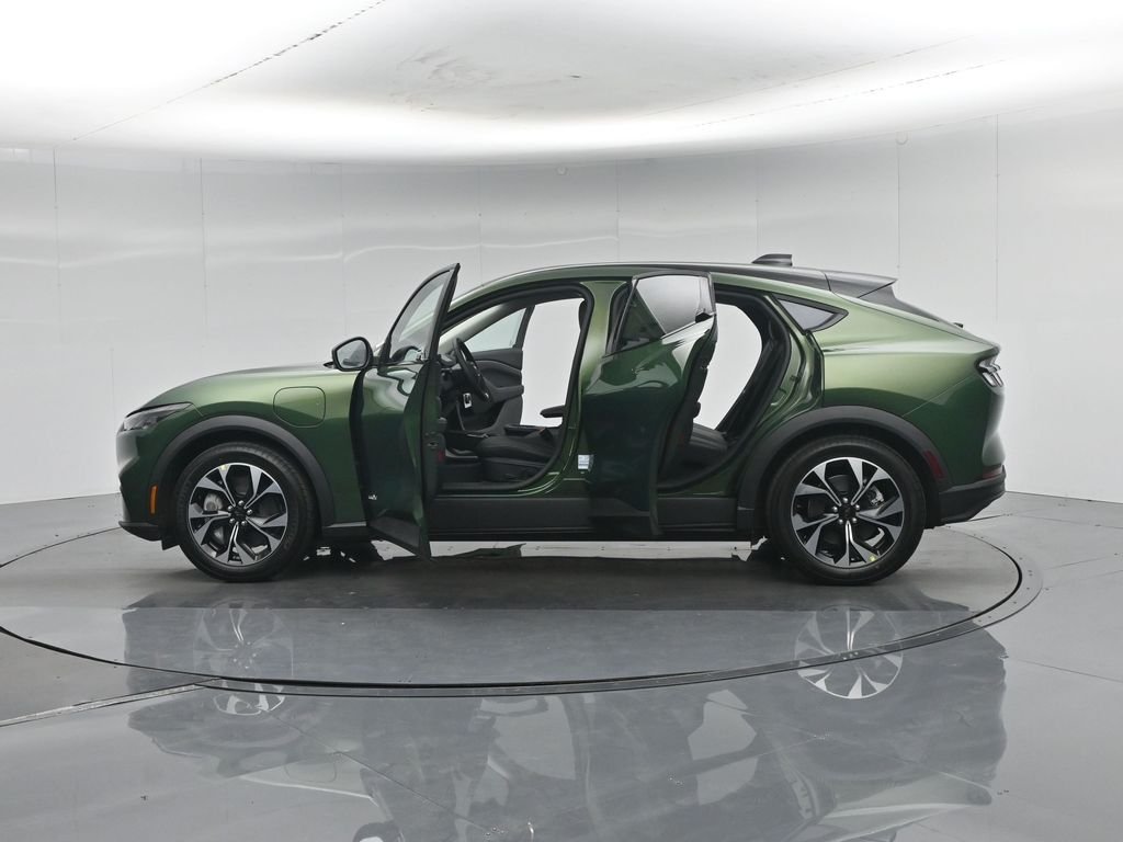New 2026 Eruption Green Metallic Ford Select image 33