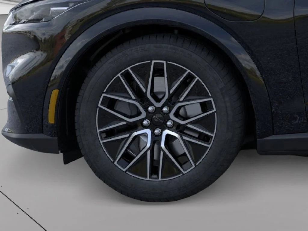 New 2026 Shadow Black Ford Premium image 19
