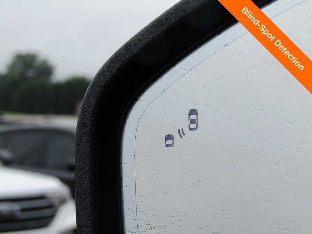 Used 2025 Black Ford Platinum image 9