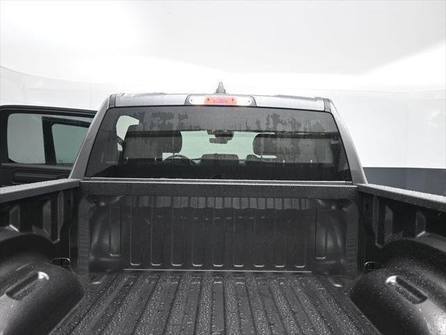 New 2026 Granite Crystal Metallic Clear-Coat Exterior Paint RAM TRADESMAN image 16
