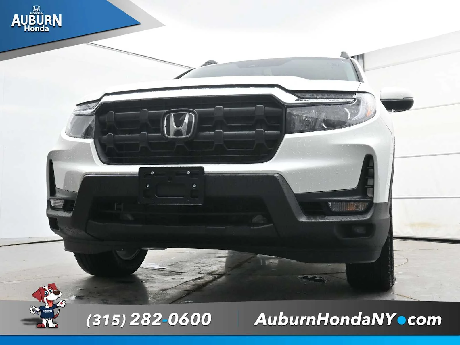 New 2026 Platinum White Pearl Honda RTL image 16