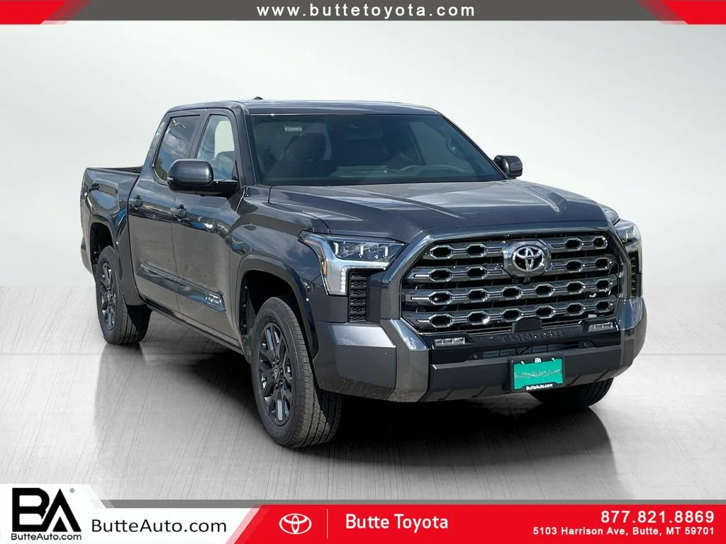 New 2026 Magnetic Gray Metallic Toyota Platinum image 1