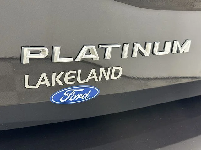New 2026 Gray Ford Platinum image 28