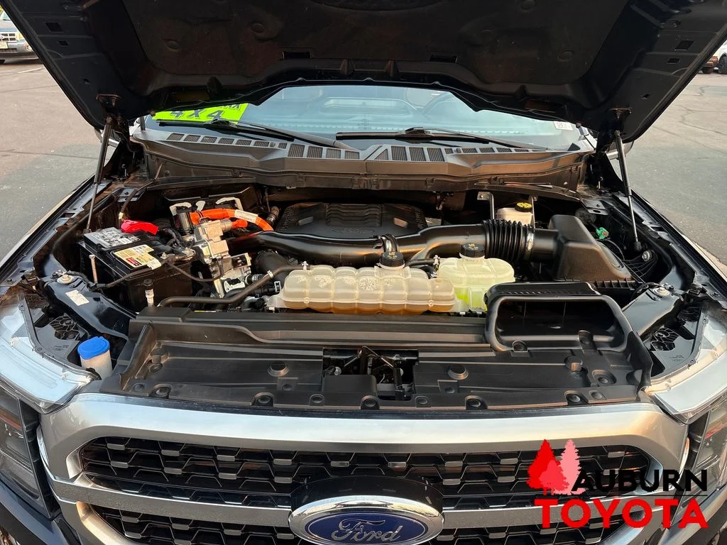 Used 2023 Blue Metallic Ford Platinum image 29