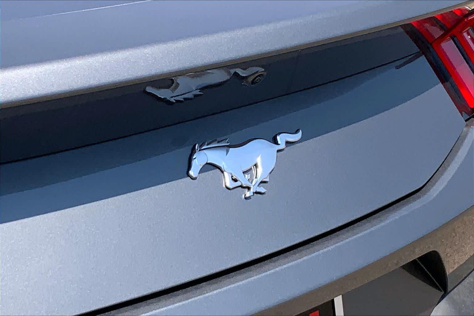 New 2026 Carbonized Gray Metallic Ford EcoBoost® Fastback image 15