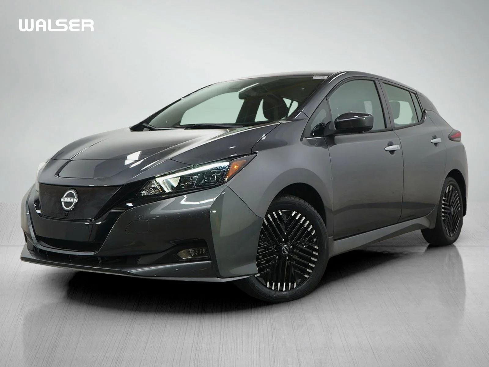 2025 Nissan Leaf SV PLUS's photo
