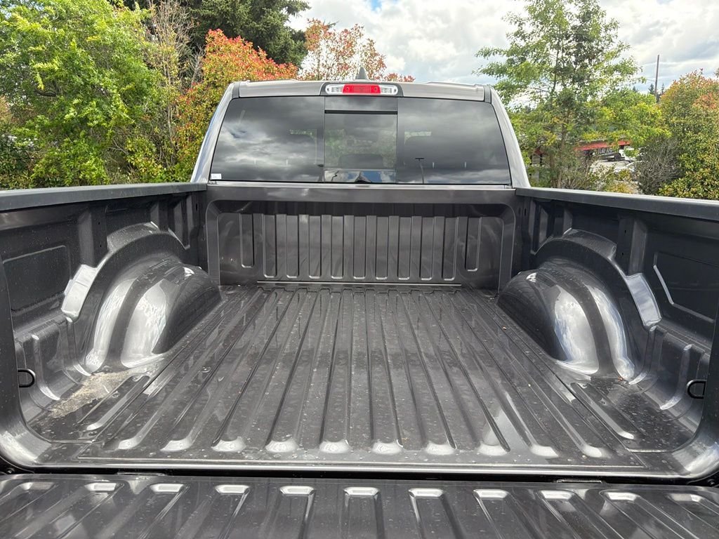 New 2026 Granite Crystal Metallic Clear-Coat Exterior Paint RAM Express image 10