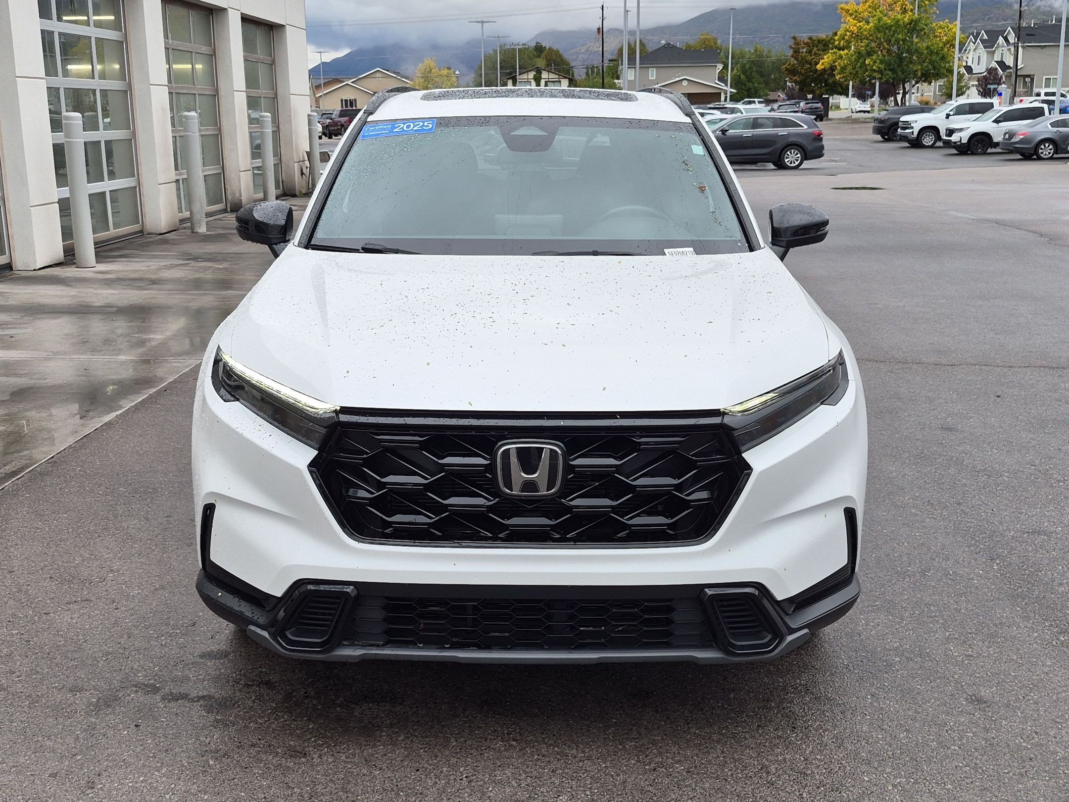 Certified Used 2025 Black Honda Sport image 10