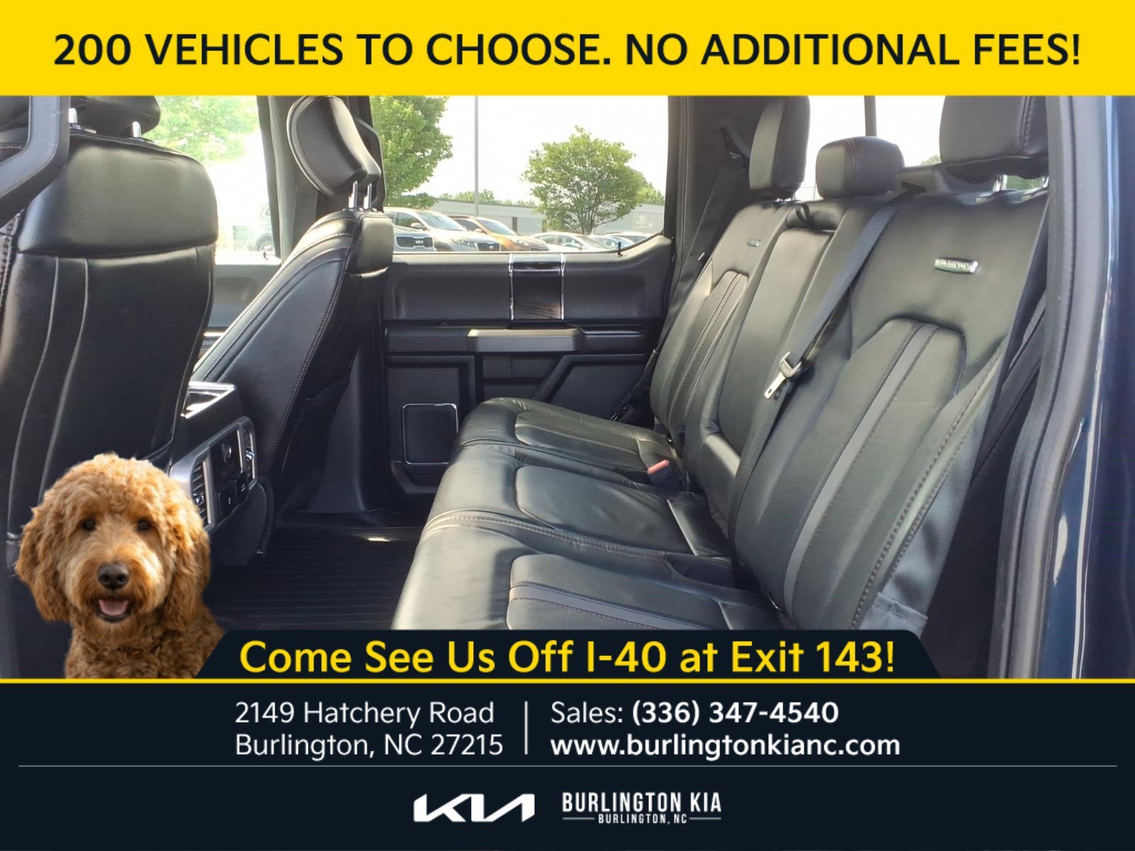 Used 2020 Blue Ford Platinum image 5