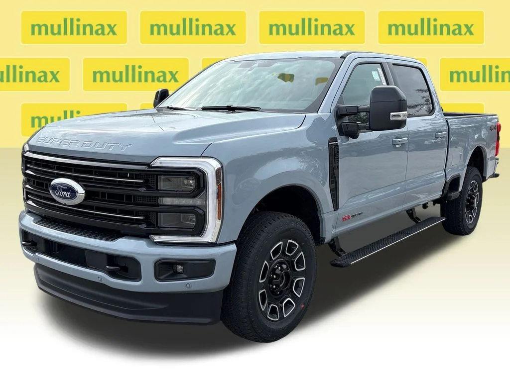 New 2026 Gray Ford Platinum image 15