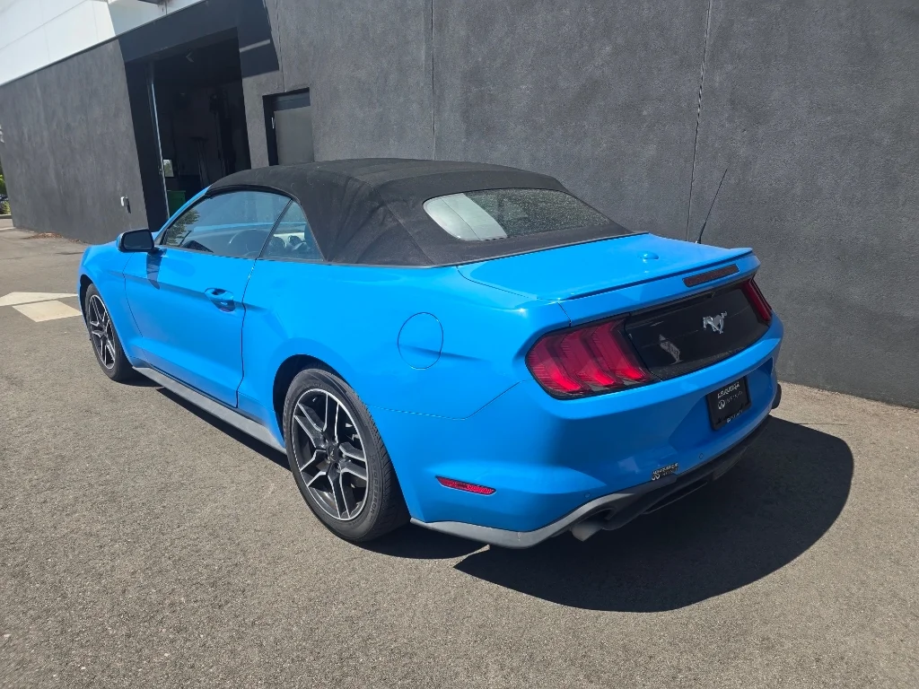 Used 2023 Grabber Blue Metallic Ford EcoBoost Premium image 3