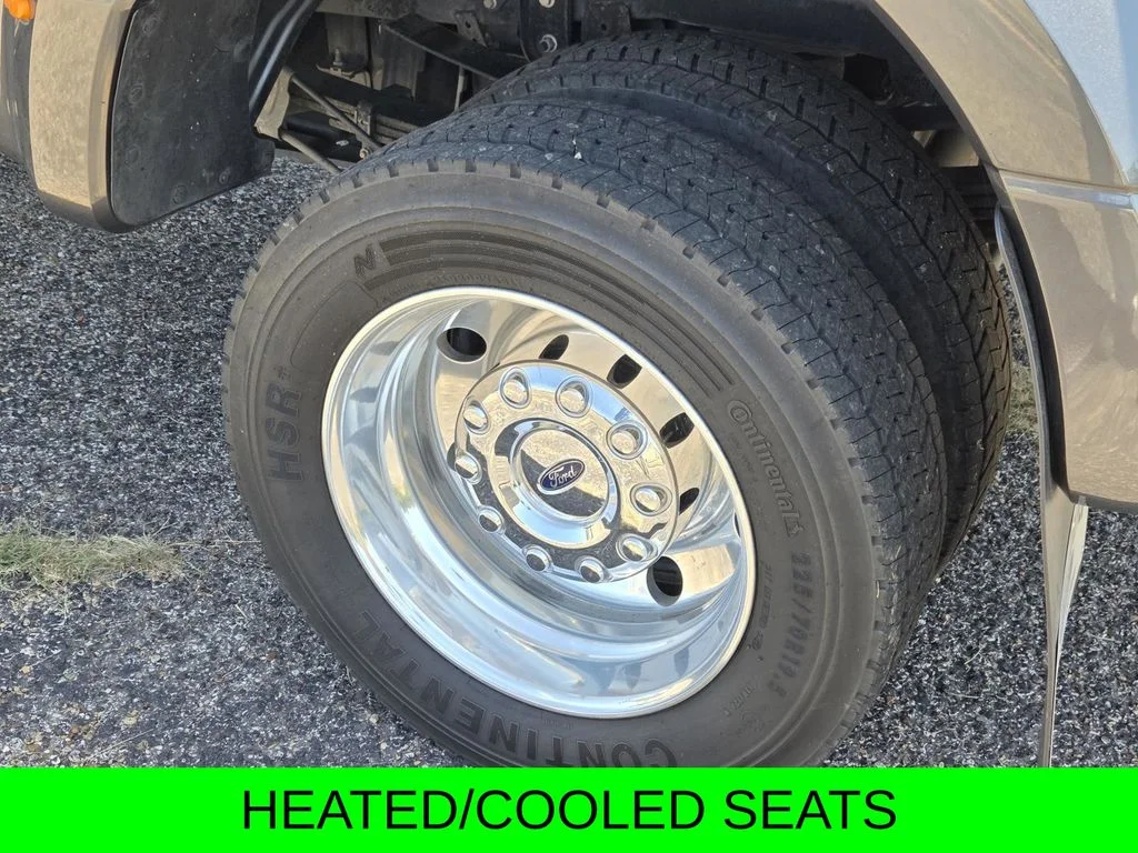 Used 2019 Magnetic Ford Platinum image 9