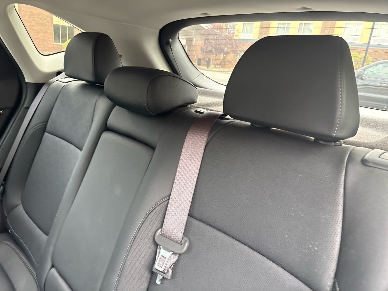 Used 2024 Pluton Blue Kia SX image 13