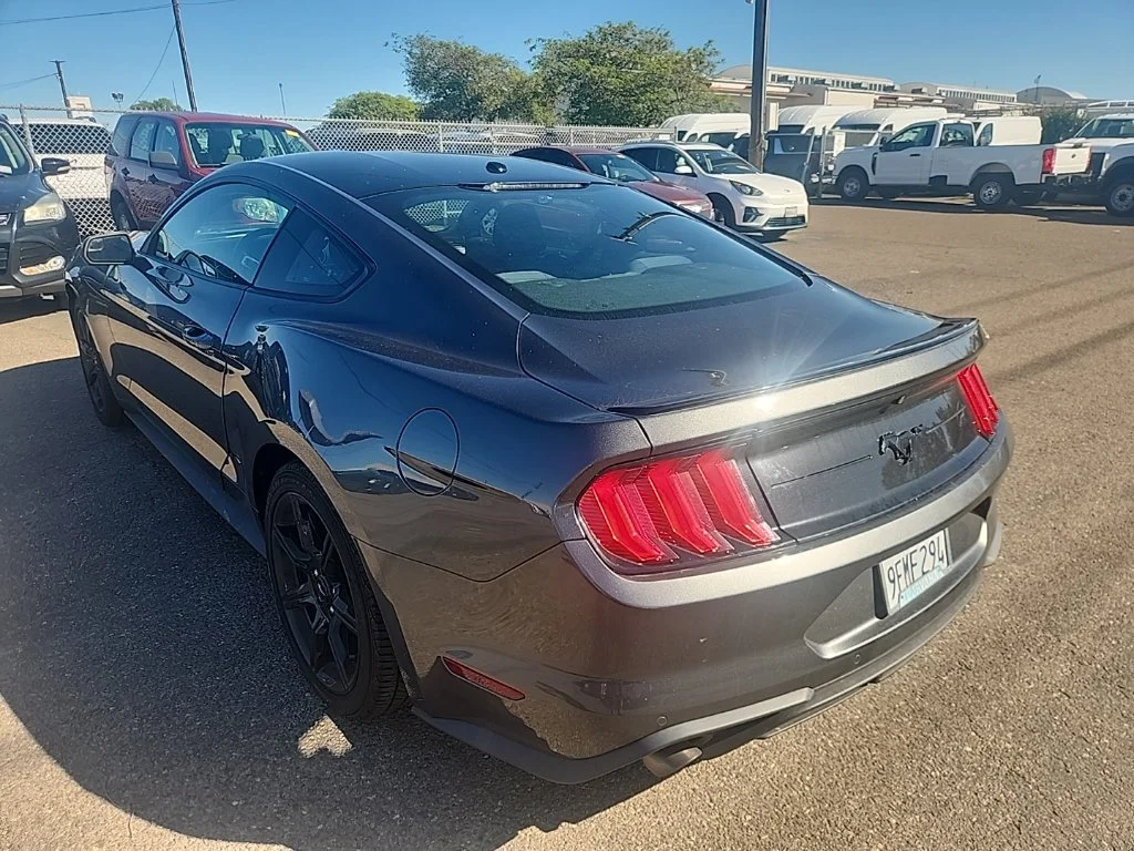 Used 2019 Gray Ford EcoBoost image 10