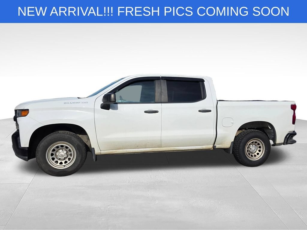 Used 2019 SUMMIT WHITE Chevrolet Work Truck image 3