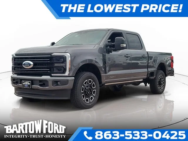 New 2026 Gray Metallic Ford Platinum image 1