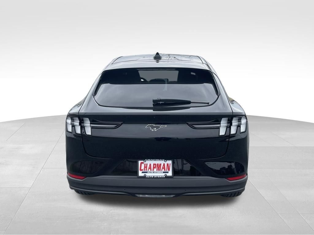 New 2026 Shadow Black Ford Premium image 10