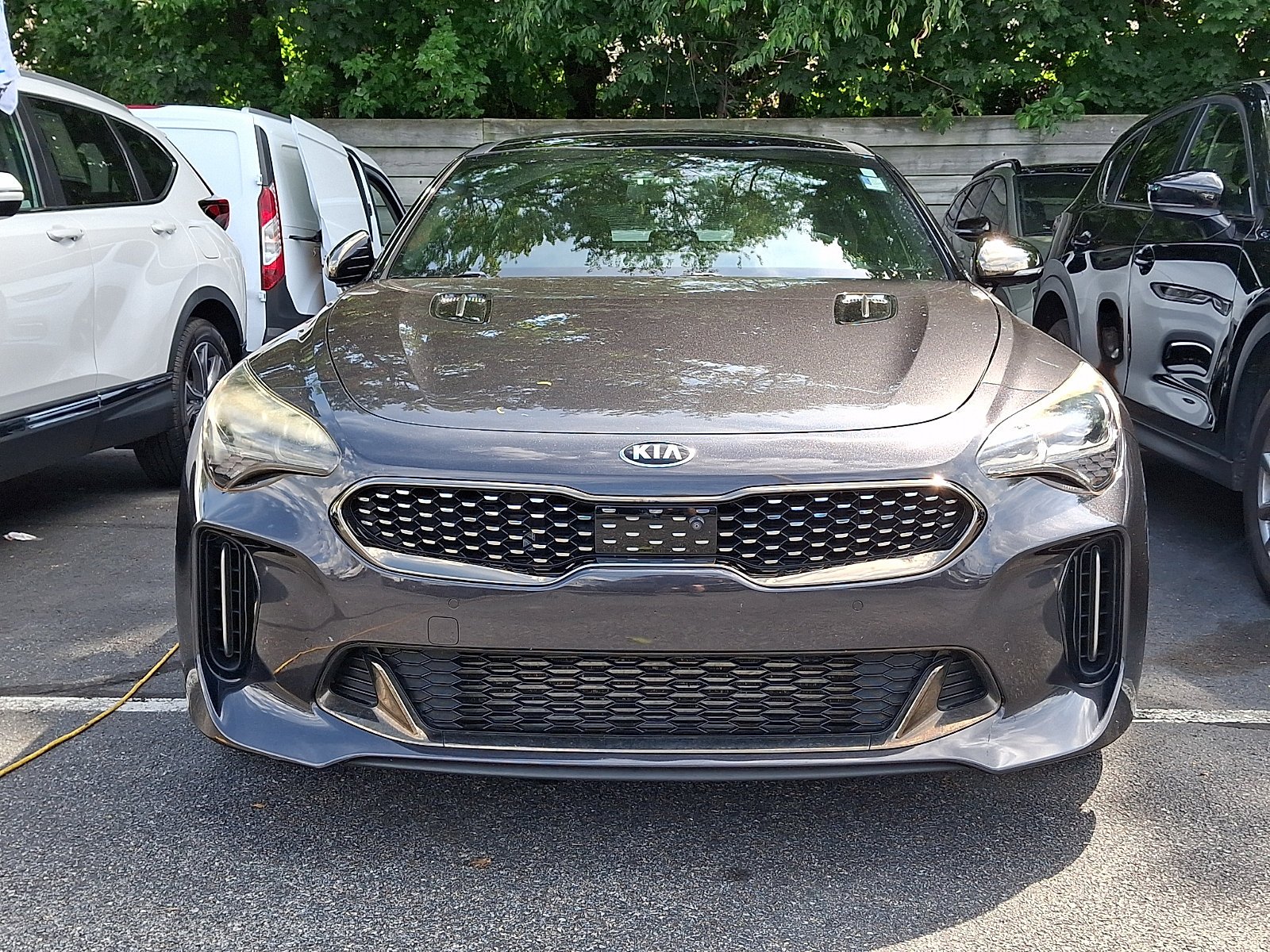 Used 2019 Panthera Metal Kia GT2 image 2