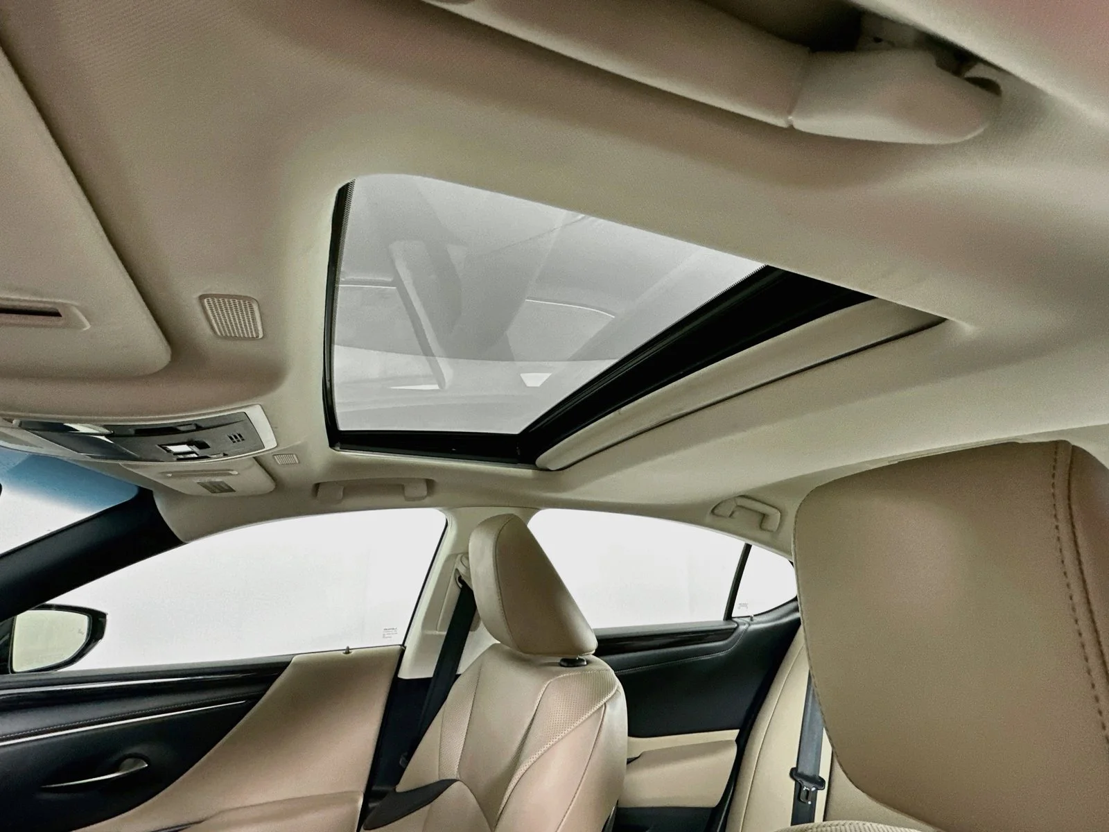 Used 2020 Green Lexus 300h image 22