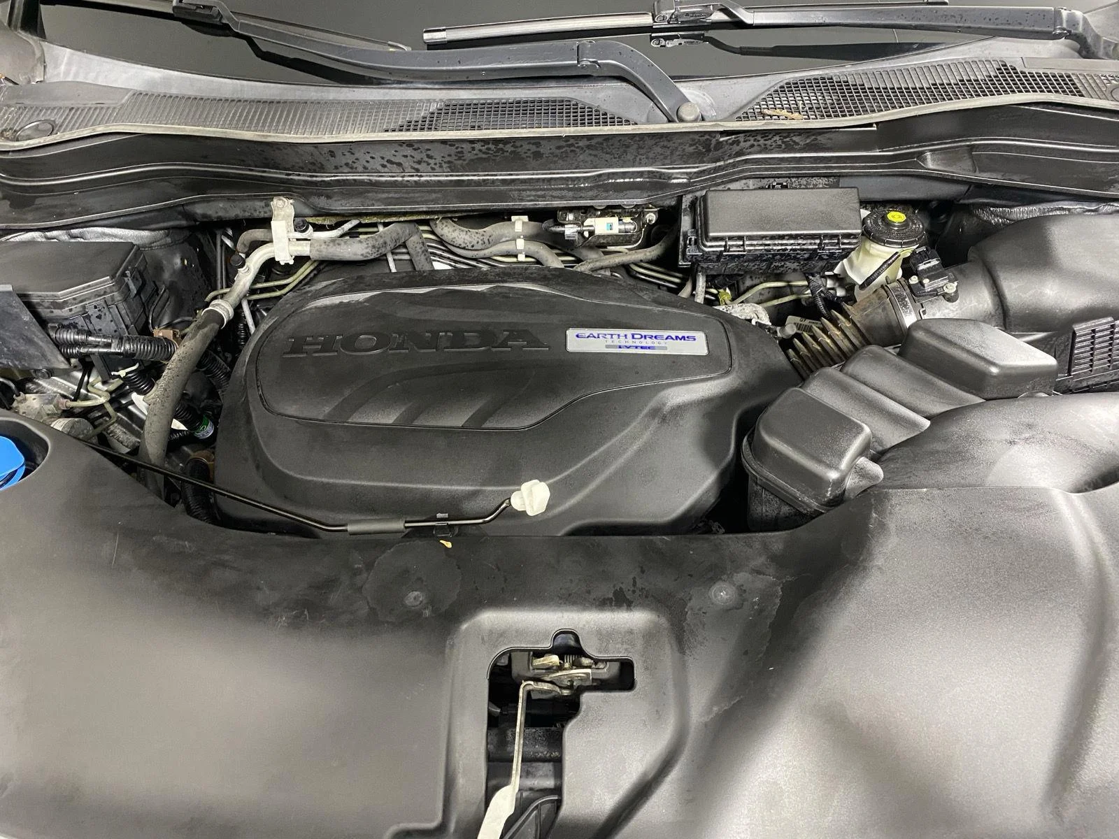 Used 2019 Forest Mist Metallic Honda RTL image 9