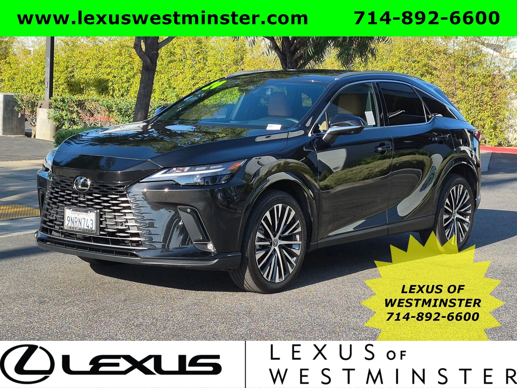 2024 Lexus RX
