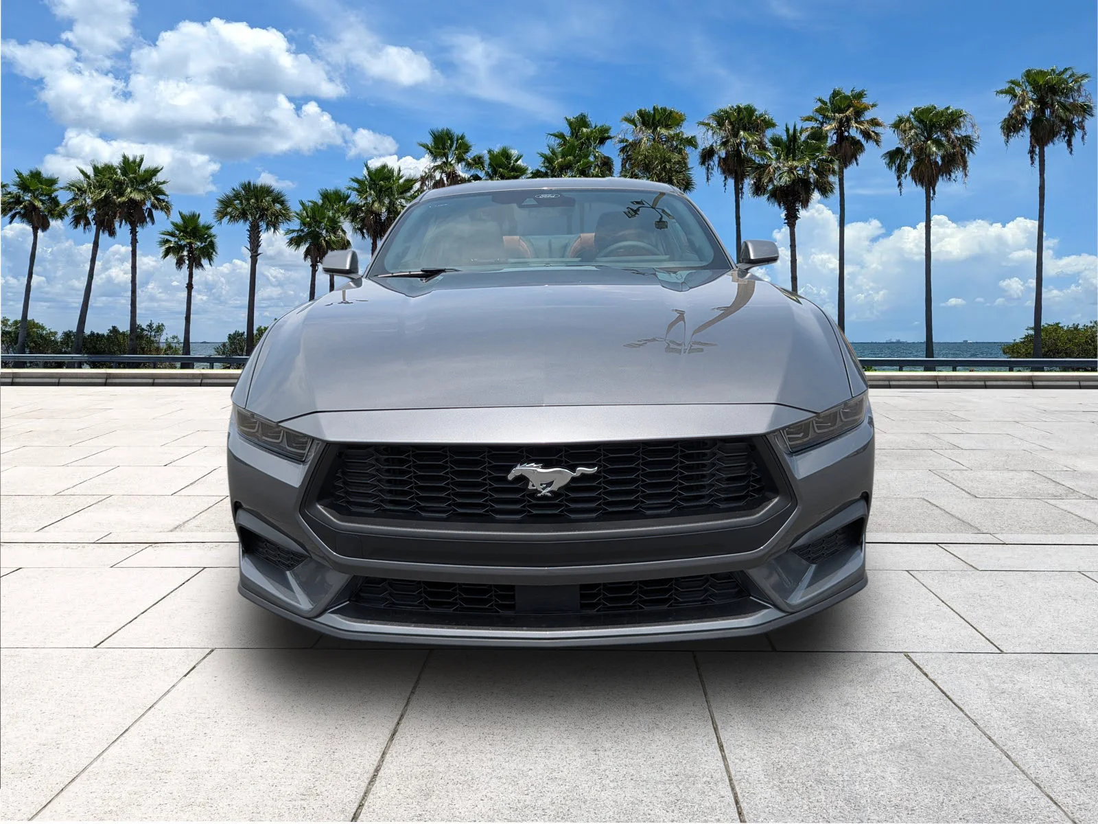 New 2026 Carbonized Gray Metallic Ford EcoBoost® Premium Fastback image 2