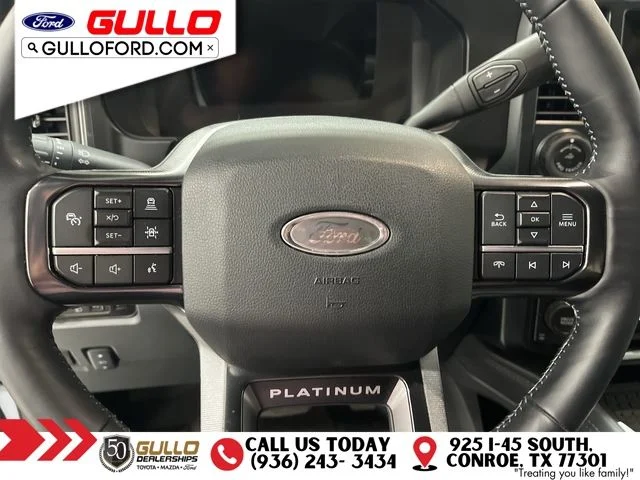 Used 2026 Gray Metallic Ford Platinum image 25