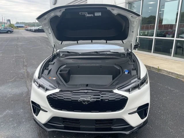 New 2025 Star White Metallic Tri-coat Ford Premium image 14