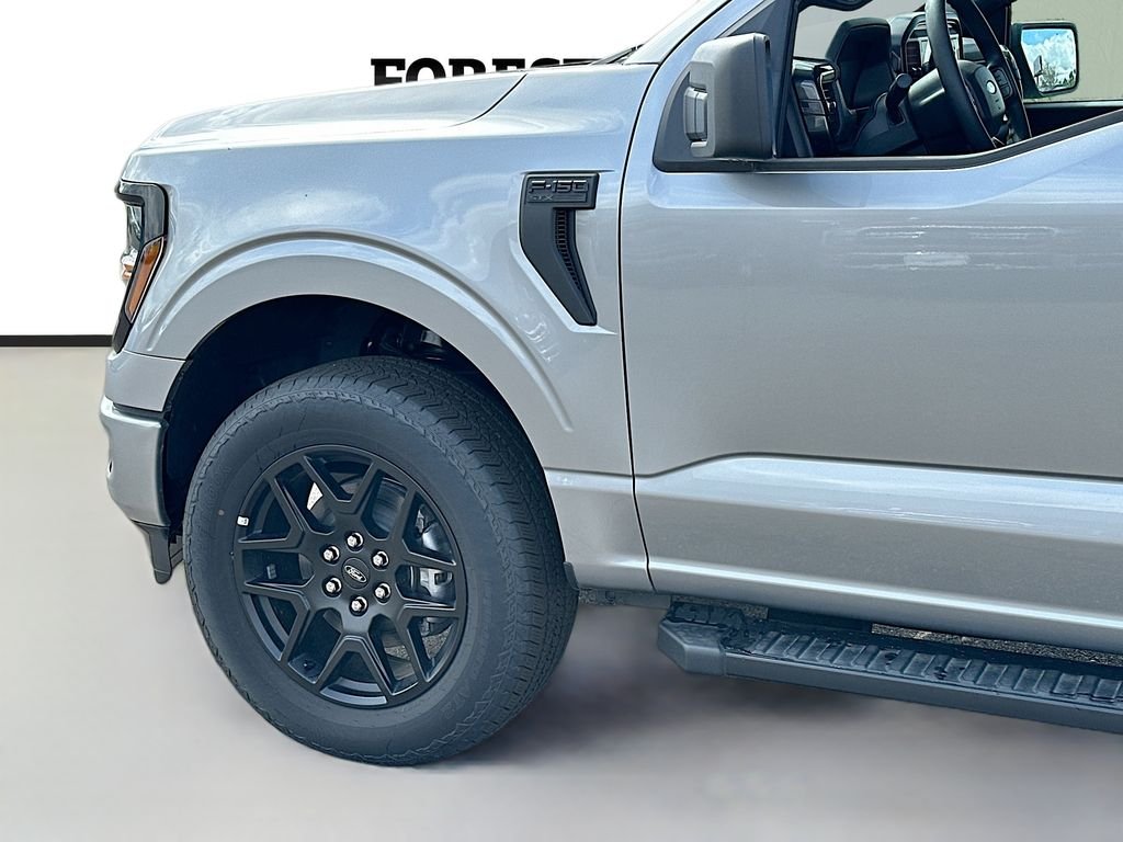 2025 Ford F-150 STX - Photo 10