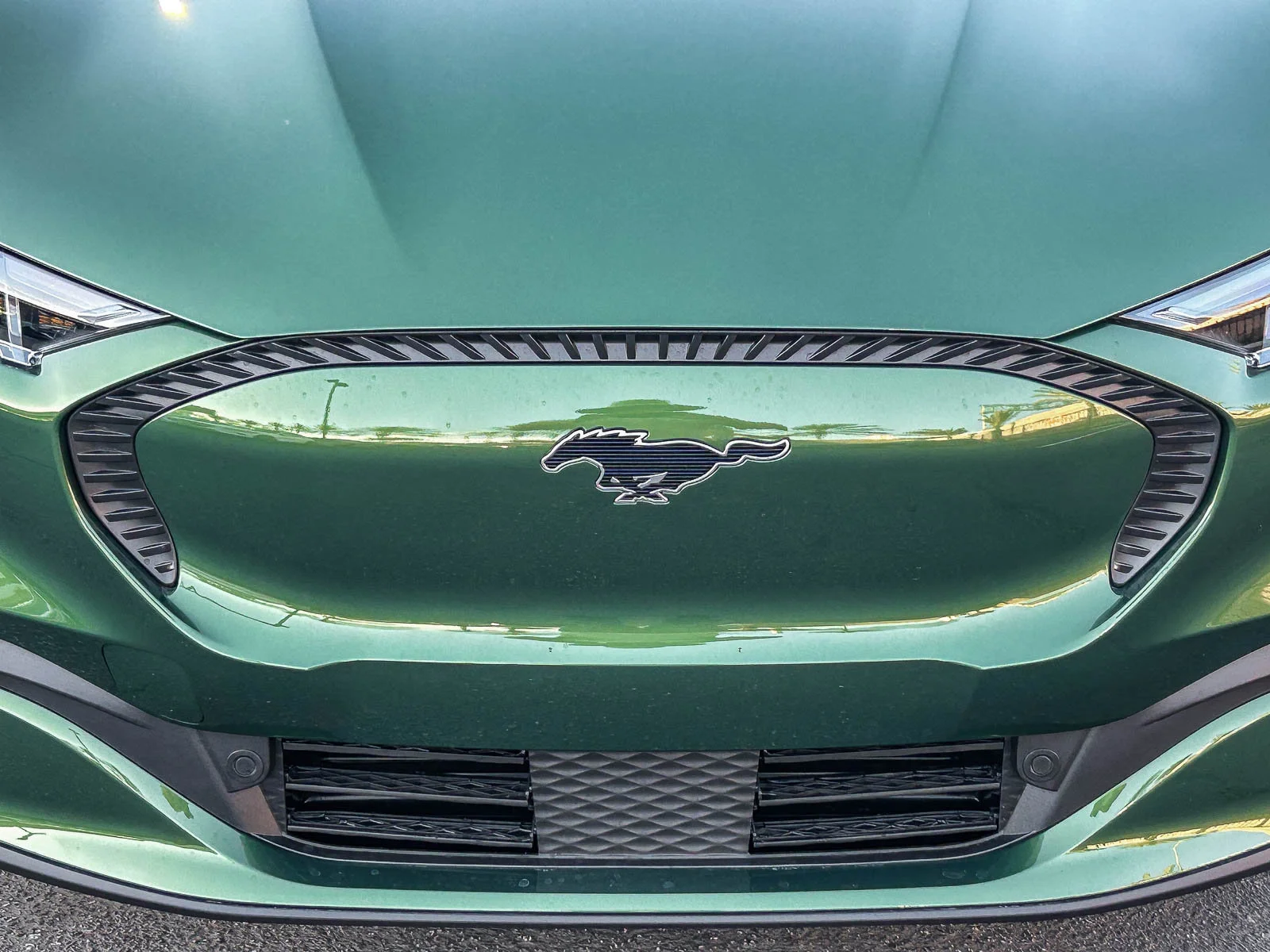 New 2026 Eruption Green Metallic Ford Select image 5