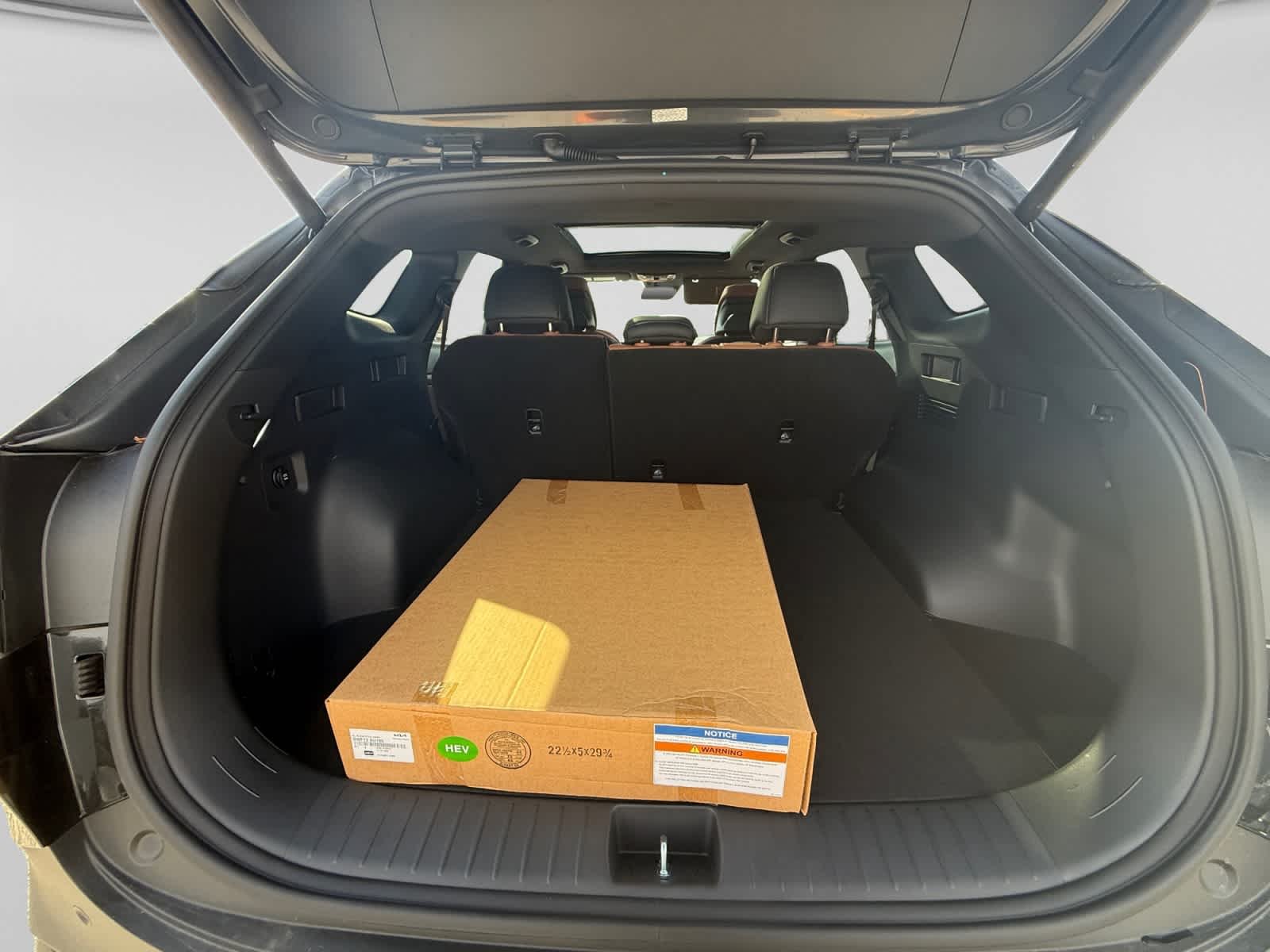New 2027 Fusion Black Kia X-Line image 23